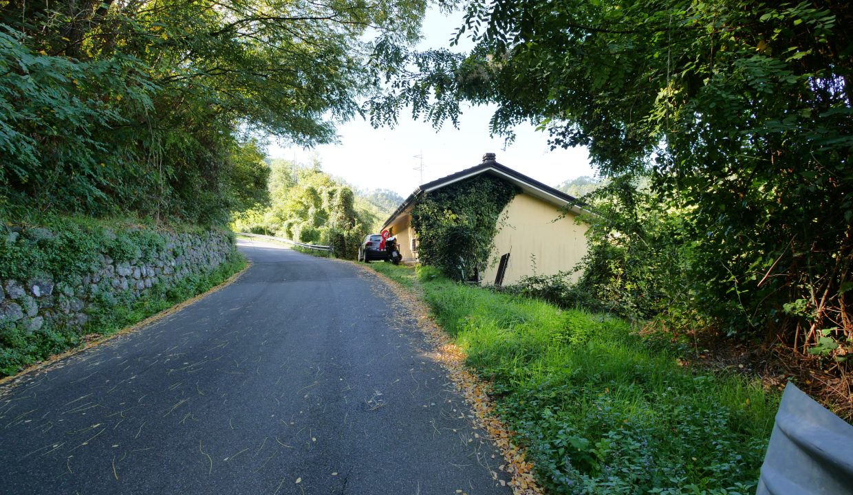 P1033267