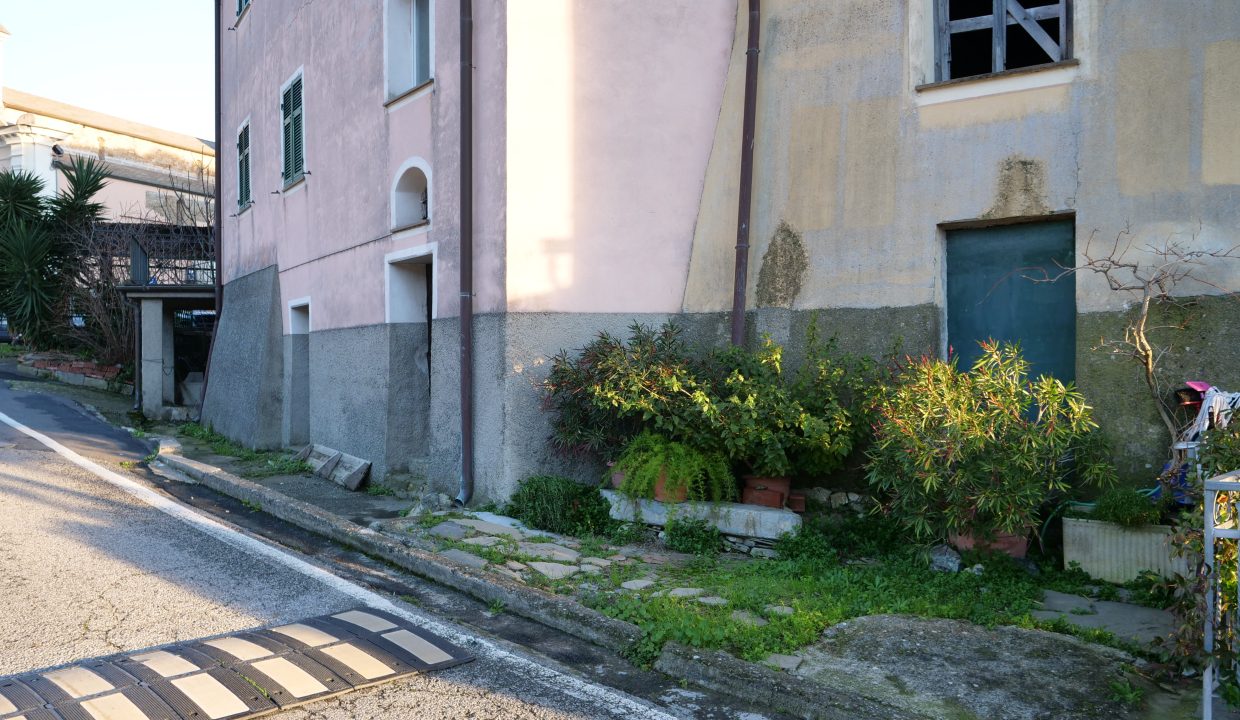 P1033527