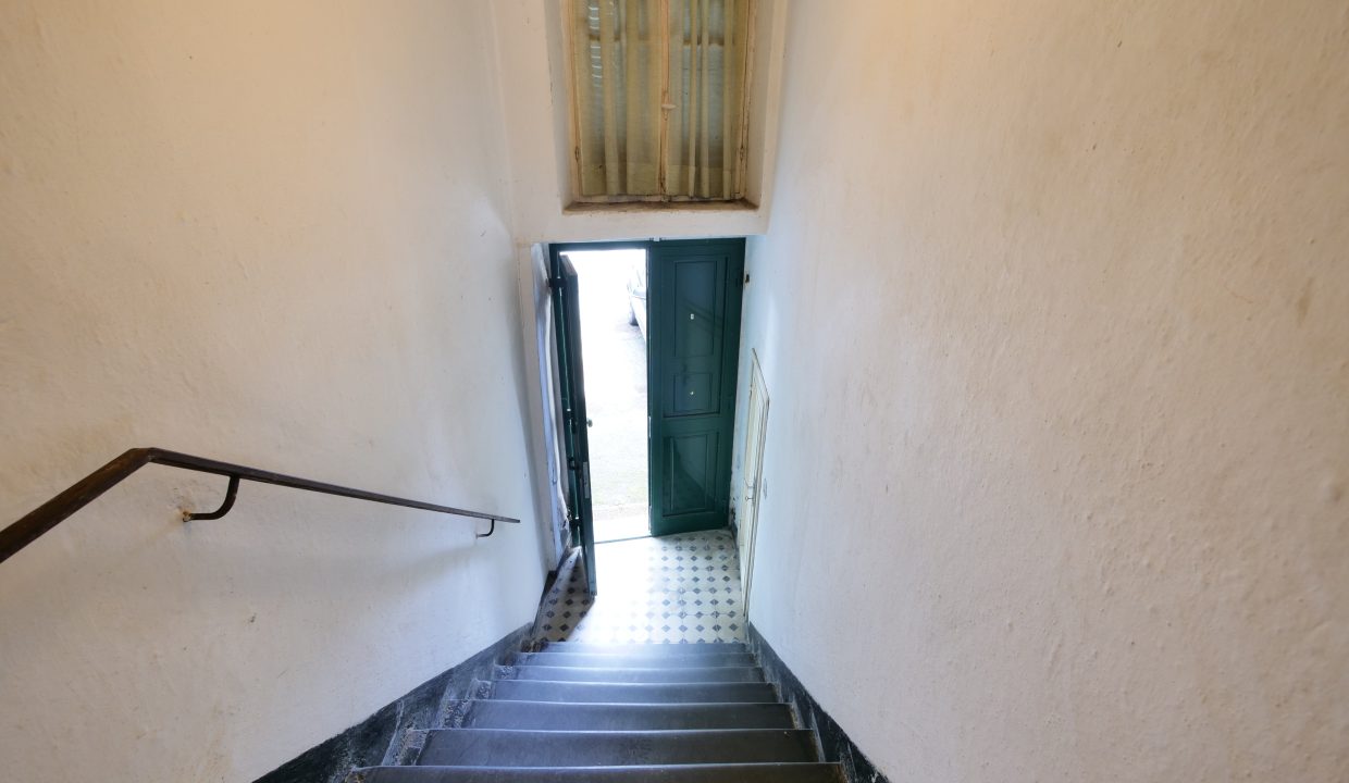 P1033971