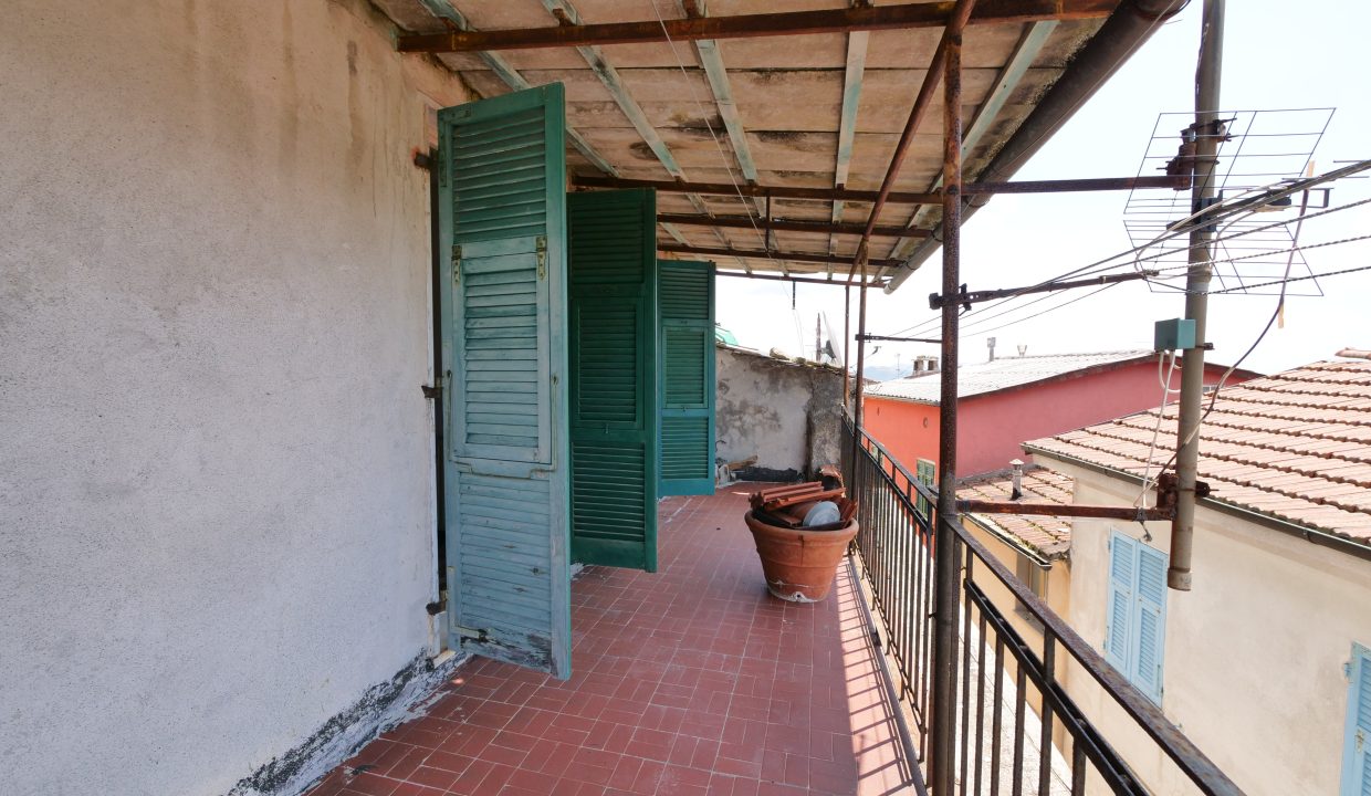 P1033990