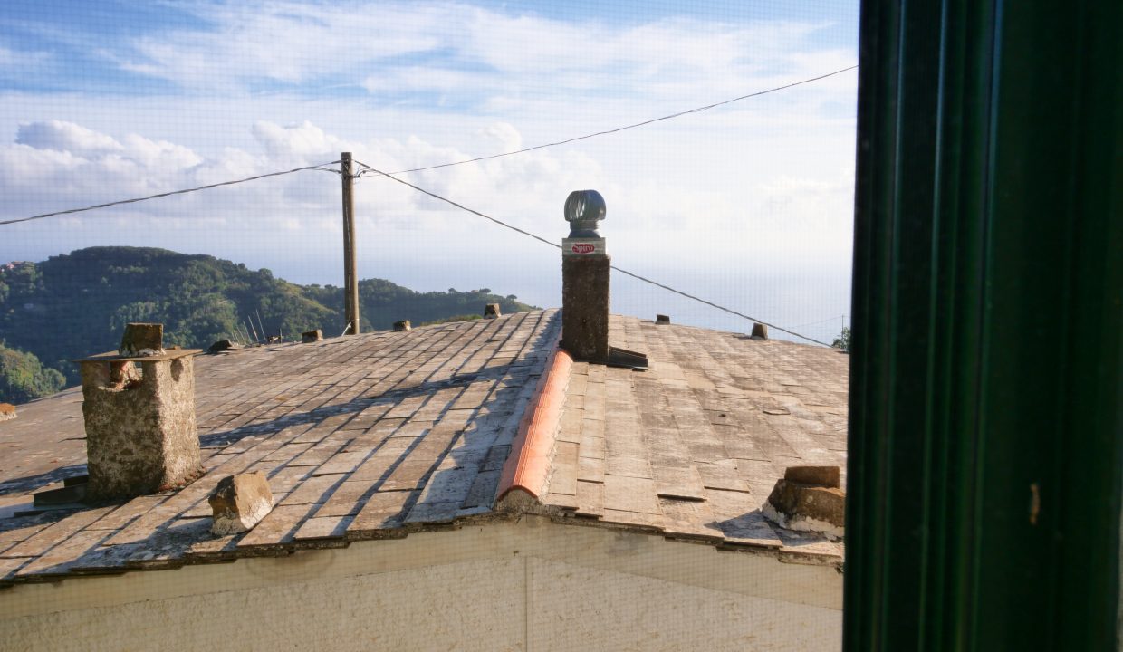 P1044723