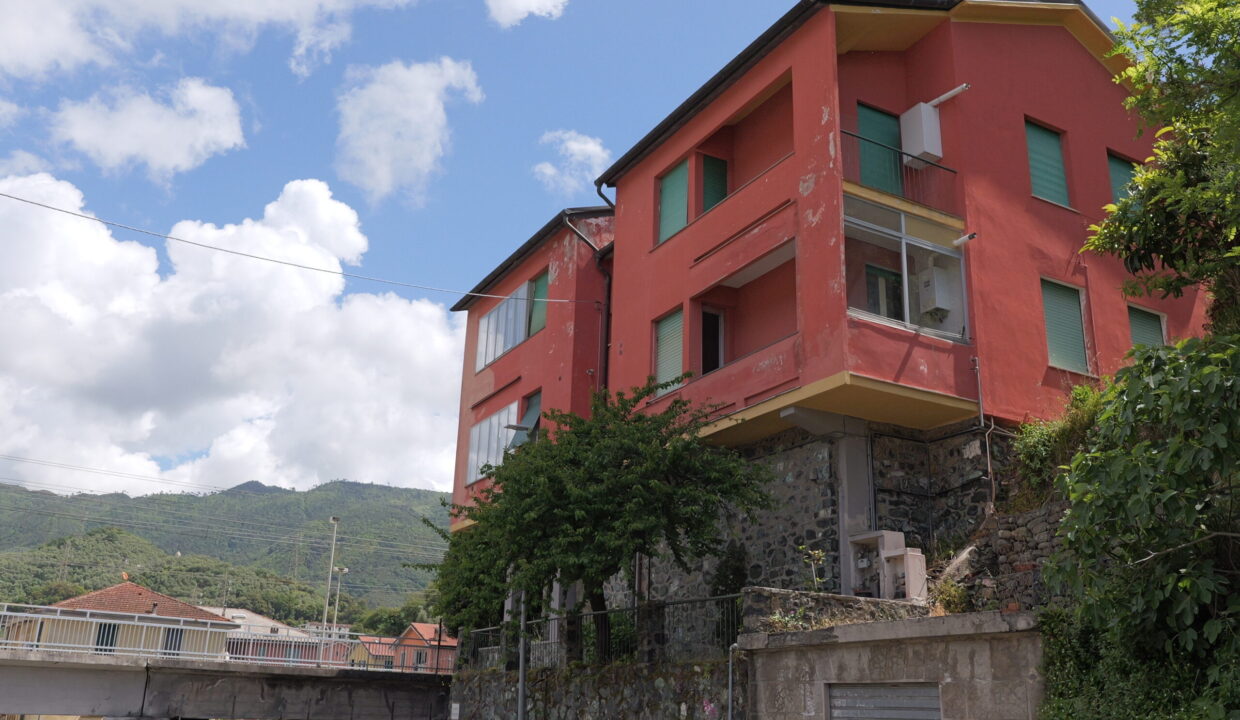P1004438