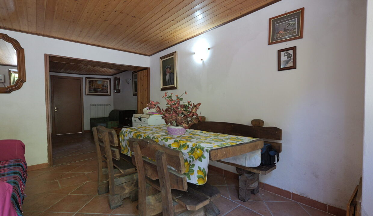 P1004440