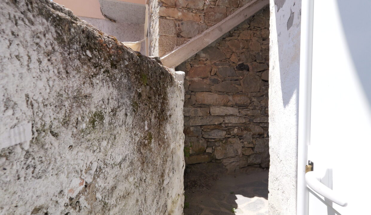 P1004450