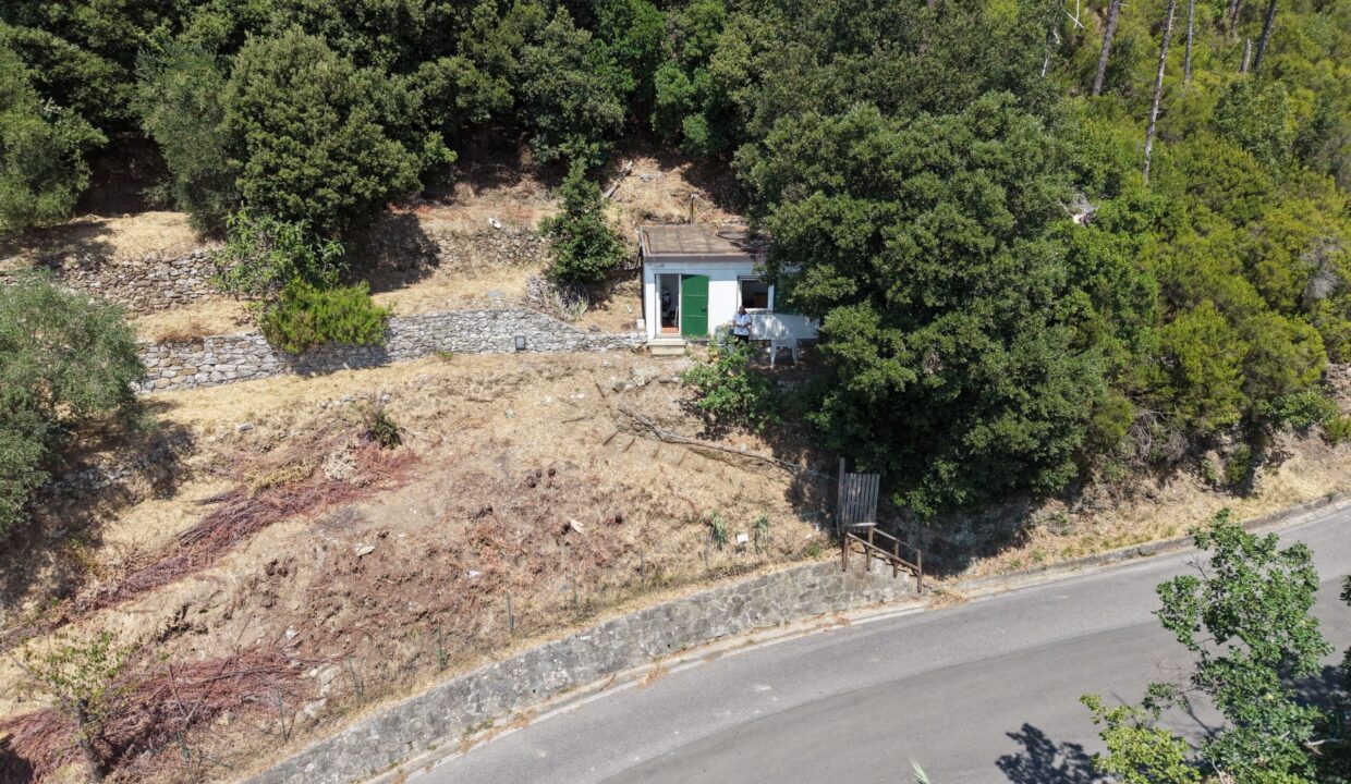 Drone (4)