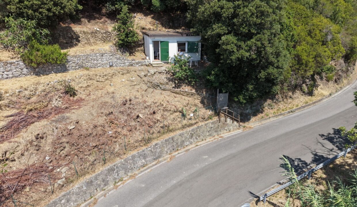 Drone (6)