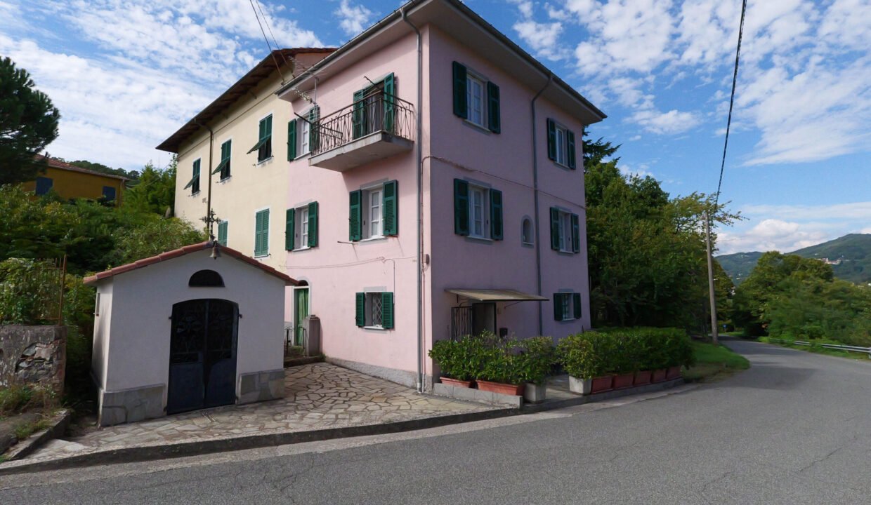 P1005027
