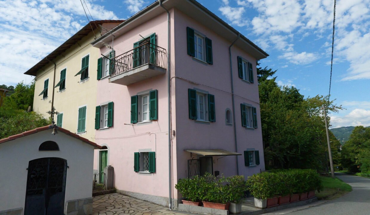 P1005028