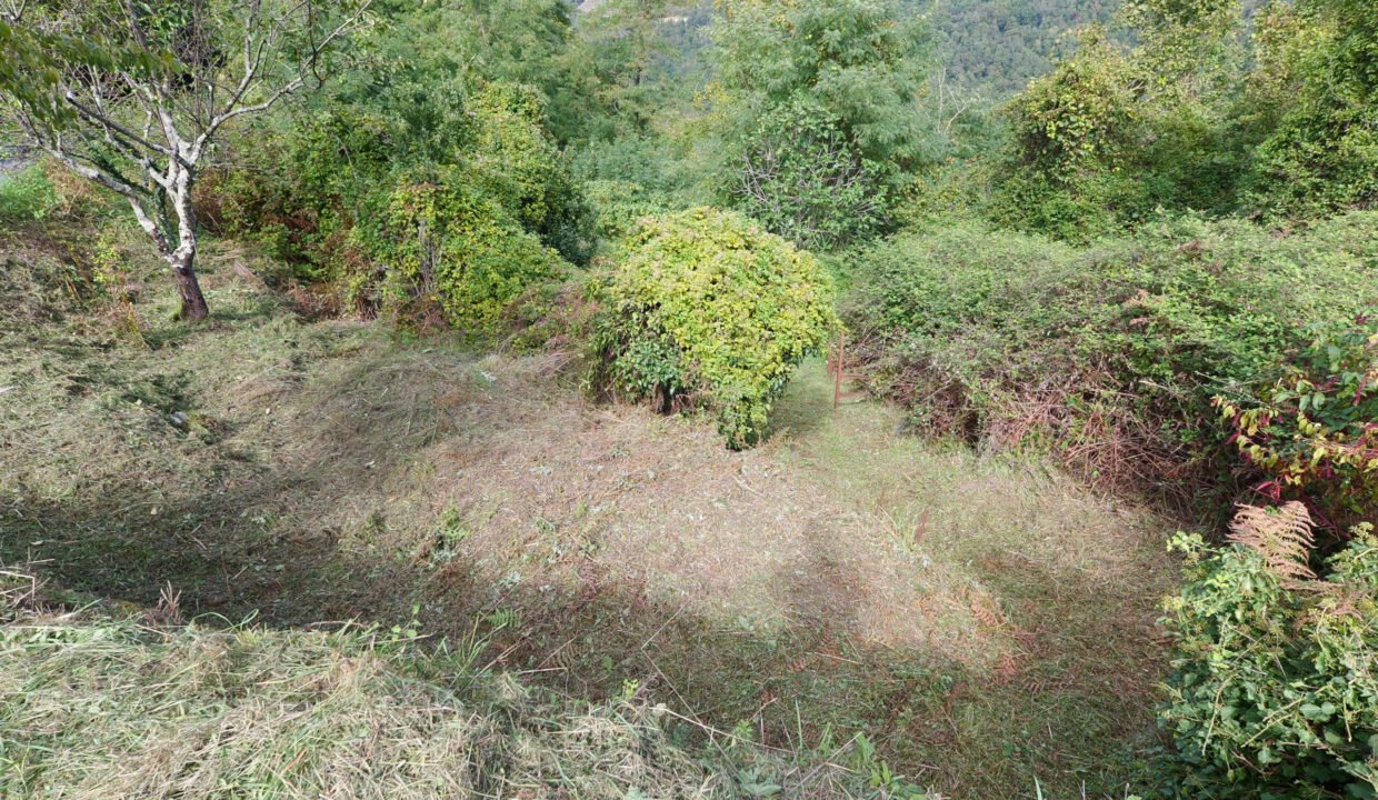 P1005036
