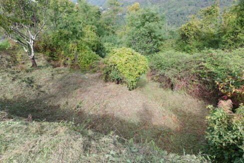 P1005036